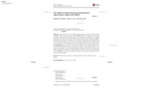 The capital investment channel of environmental improvement: evidence from BRICS